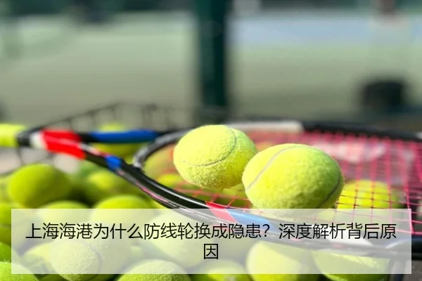 上海海港为什么防线轮换成隐患？深度解析背后原因